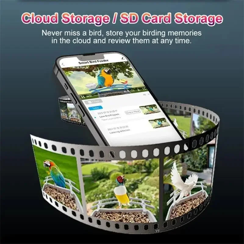 BirdEye™ 2K Smart Solar Bird Feeder – AI Bird ID, Auto Video Capture & Arrival Alerts