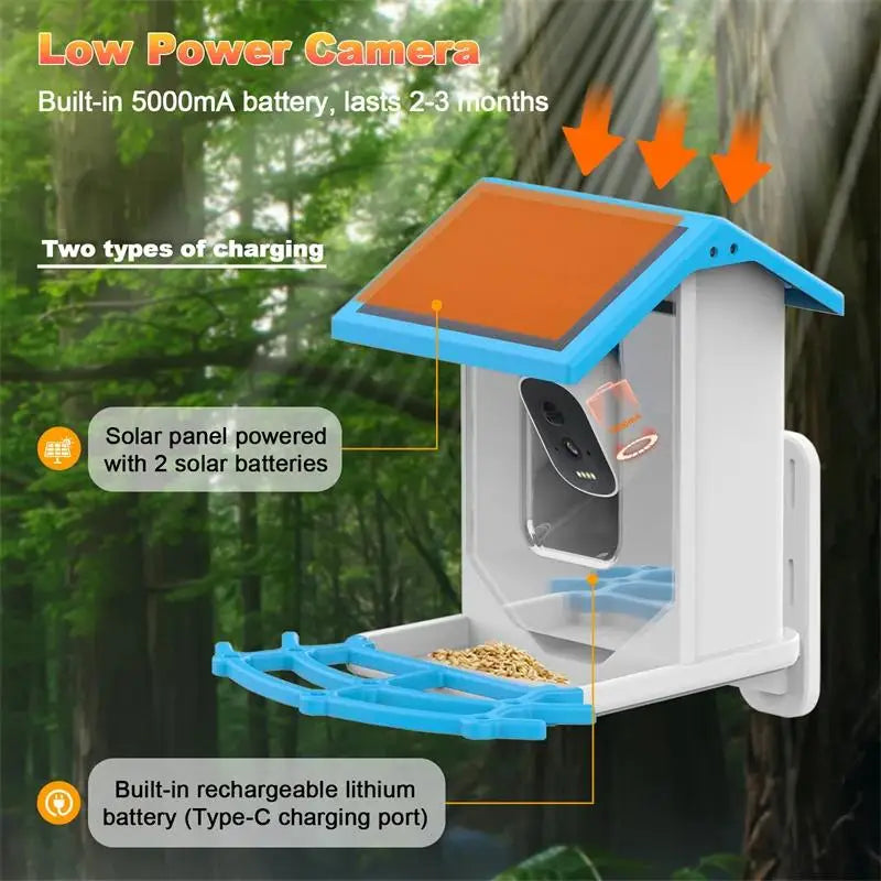 BirdEye™ 2K Smart Solar Bird Feeder – AI Bird ID, Auto Video Capture & Arrival Alerts